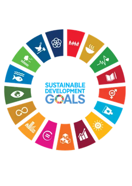 United Nations Sustainable Development Goals